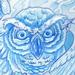 tattoo galleries/ - Blue Sketchbook Angry Swirly Owl Tattoo Concept